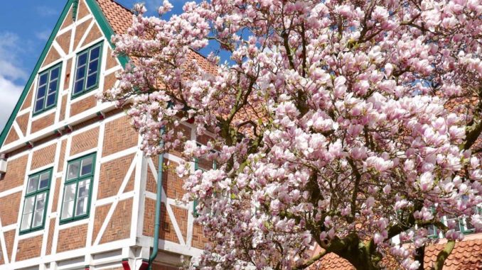 Strompreise-April-2017 Strompreise im April 2017 | Foto: 163 Grad